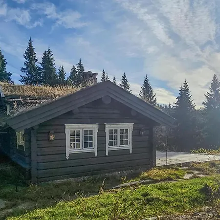 Cozy In Eggedal With Wifi Noresund